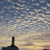 千代田の夜明け　鱗雲