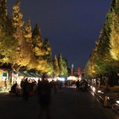 靖国神社、黄葉まつり、ライトアップ