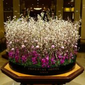 帝国ホテル東京のロビーの装花