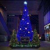 Christmas Tree（丸の内 MY PLAZA）