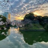 千鳥ヶ淵緑道