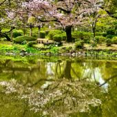 日比谷公園3