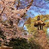 靖國神社3
