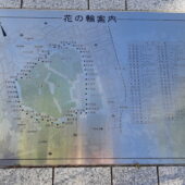 花の輪案内