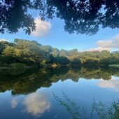 早朝の北の丸公園
