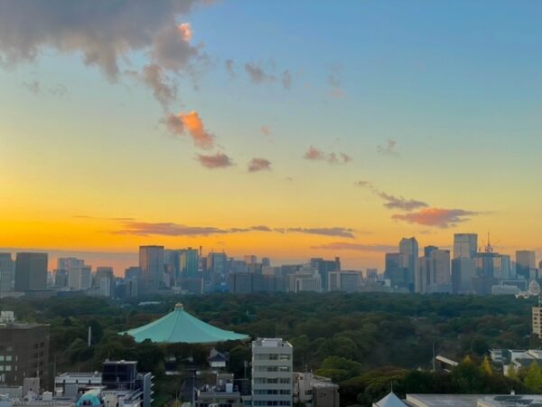 千代田区の夜明け　富士見町から