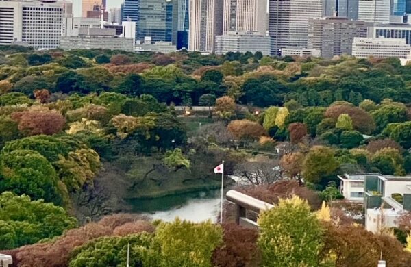 北の丸公園の紅葉