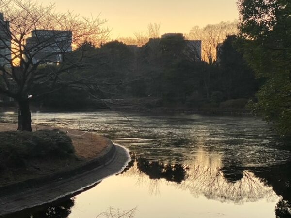 薄氷の池（北の丸公園）