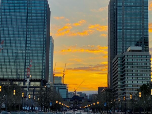 朝焼けの御幸通り