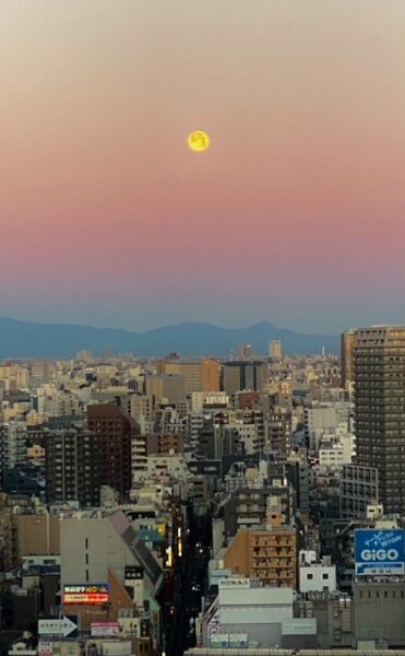 一月の満月🌕ウルフムーン