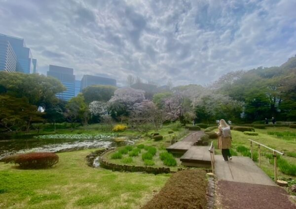 春模様の皇居東御苑庭園