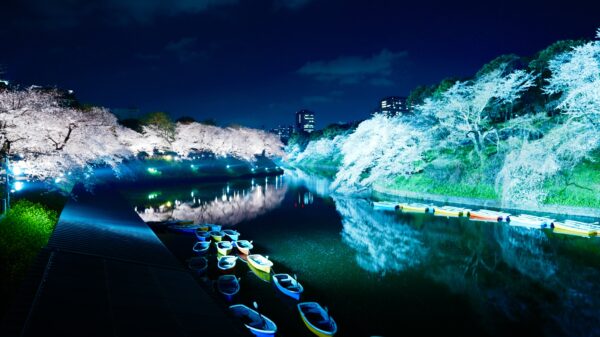 千代田の絶景