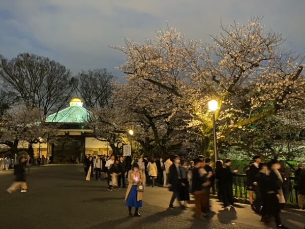 夜桜見物客で賑わう田安門