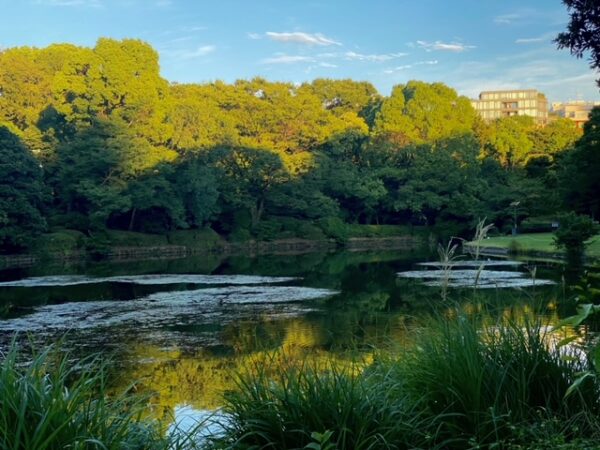 ８月前で秋を感じる朝風景