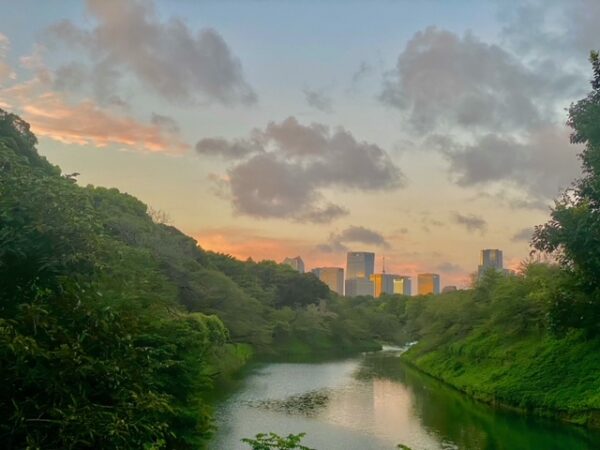 朝の千鳥ヶ淵緑道から