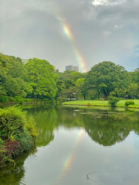 北の丸の虹の映り込み