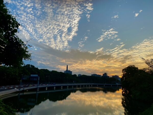 朝焼け雲の千鳥ヶ淵