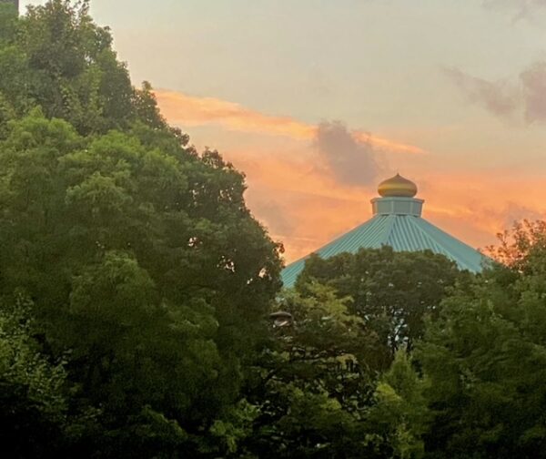 朝焼け武道館