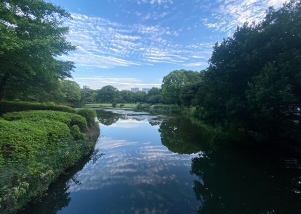 北の丸公園の静かな朝