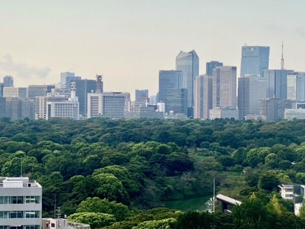 皇居の緑と丸の内ビル街