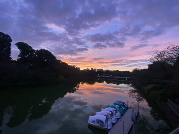 千鳥ヶ淵の朝焼け