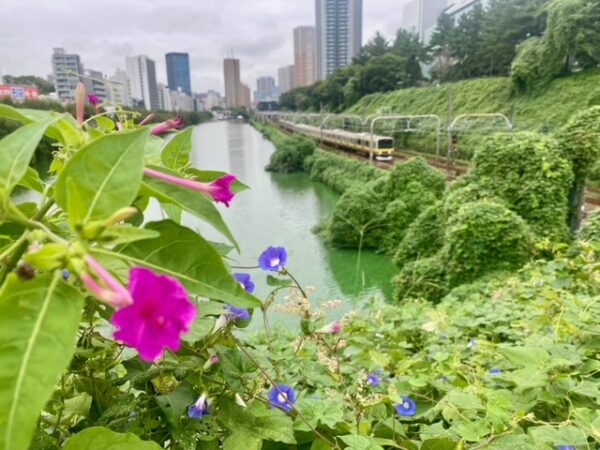 初秋の外堀