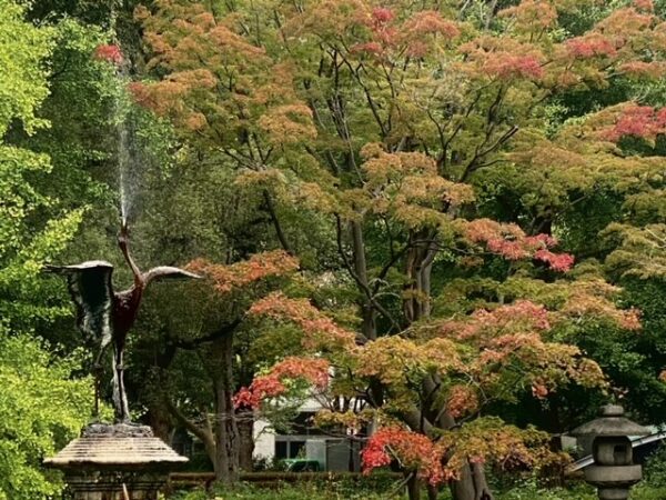 都心も紅葉