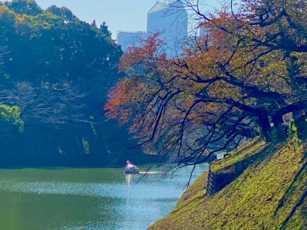 秋色千鳥ヶ淵