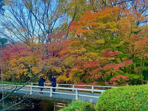 紅葉の紅葉橋