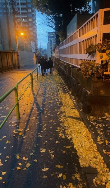 雨上がりの登校