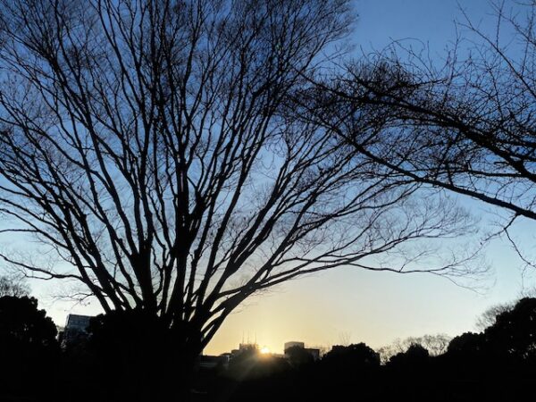 北の丸公園の初日の出