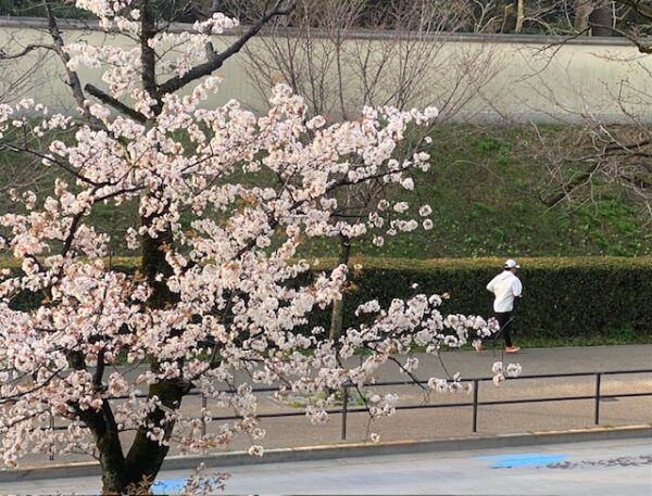 櫻下のトレーニング