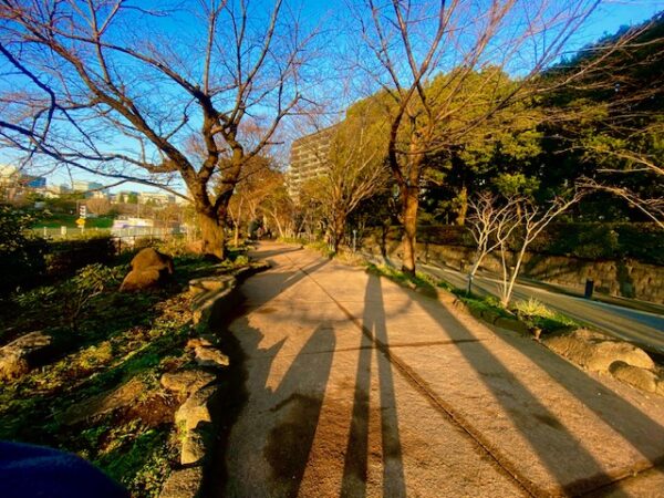 朝日浴び影長く