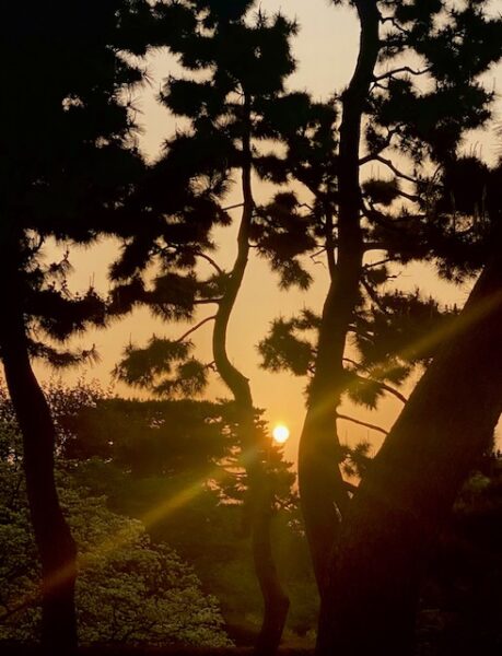 皇城に昇る朝日