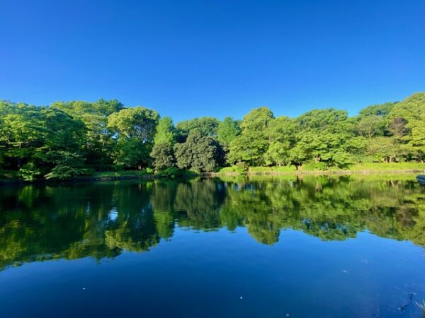 新緑の鏡池