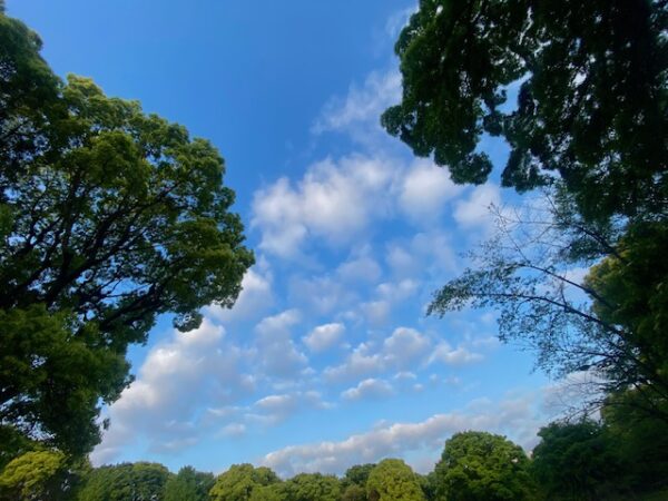 気持ち千代田の青空