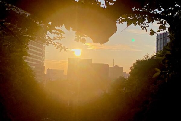 梅雨の晴れ間
