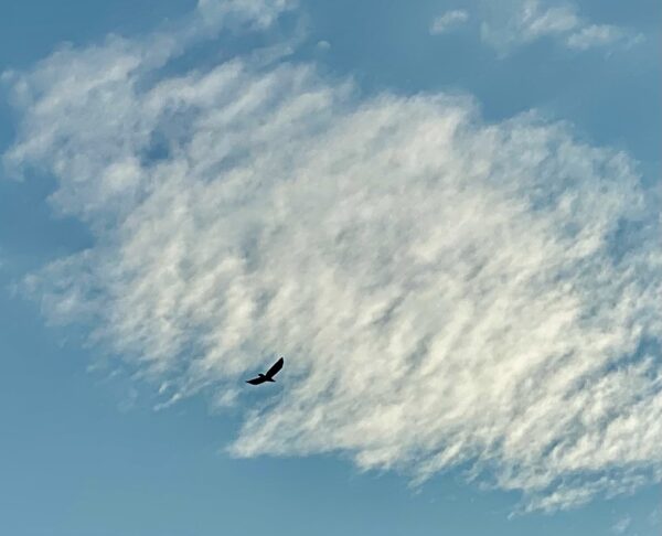 梅雨の晴れ間の空