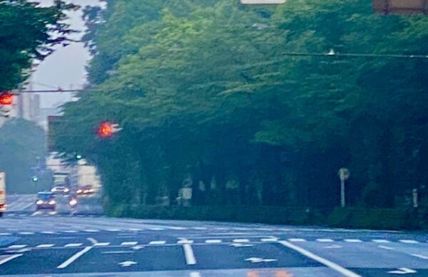 朝靄の靖國通り