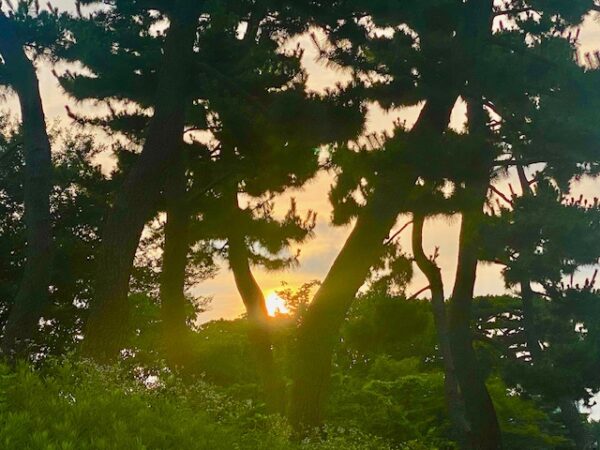 北の丸の日の出