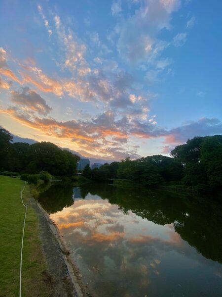 広さ感じる朝焼け