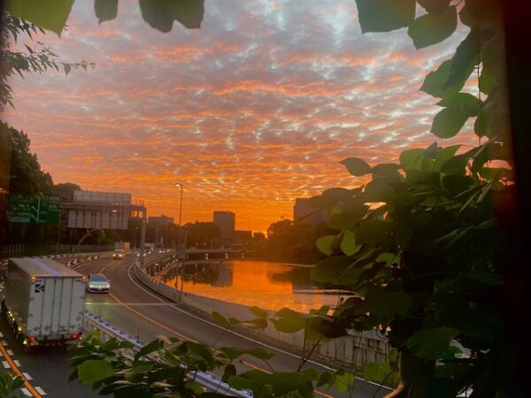 内堀と高速道路の朝焼け
