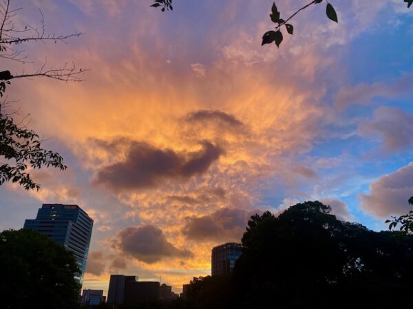 朝焼け､くじら雲