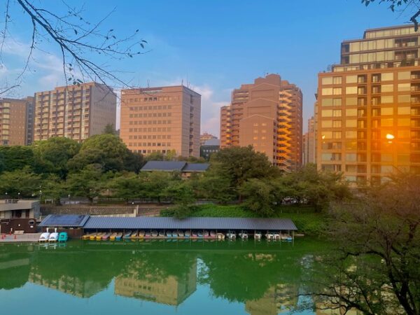 マンション群とボート場