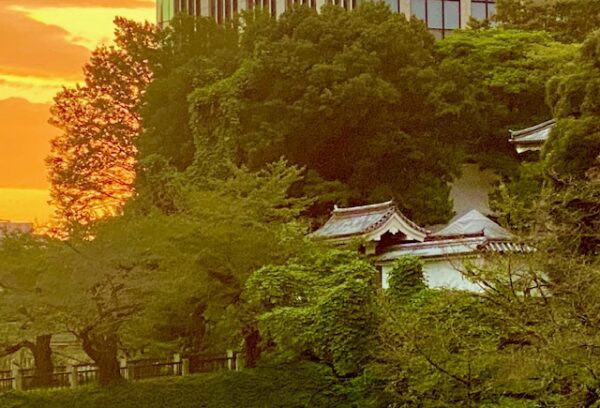 夜明け前の田安門