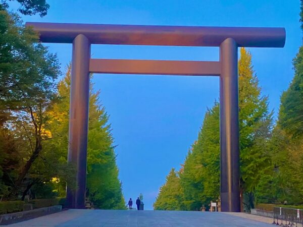 色付き始めた靖国イチヨウ