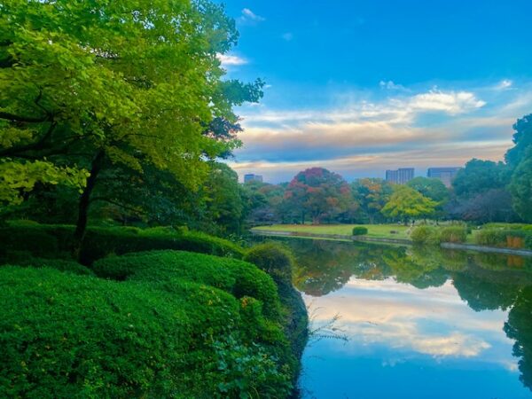 絵画の様な風景