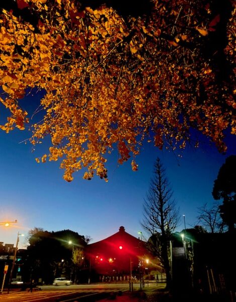 晩秋明ける九段