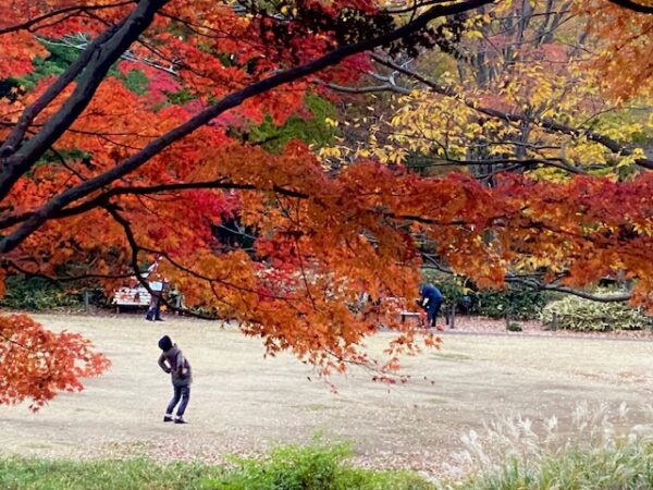 晩秋の健康体操