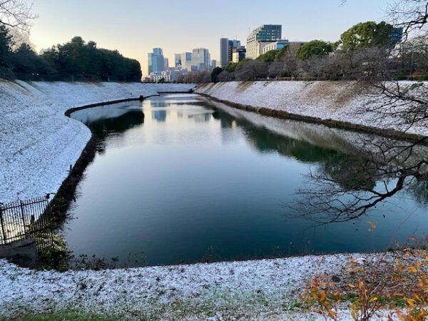 皇居の初雪